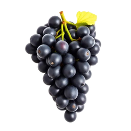 Fresh Black Grapes delivery in Noida