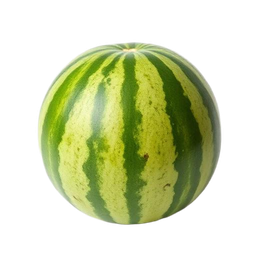Fresh Watermelon delivery in Noida